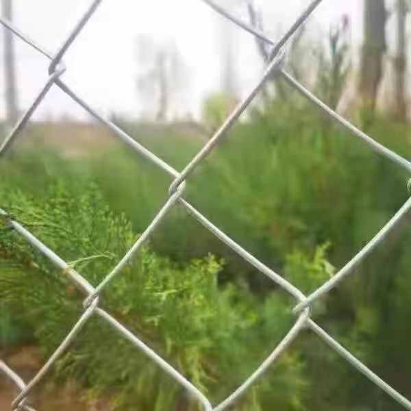 镀锌铁丝网围栏防护网勾花网钢丝网栅栏护栏网牛羊猪拦网养殖果园