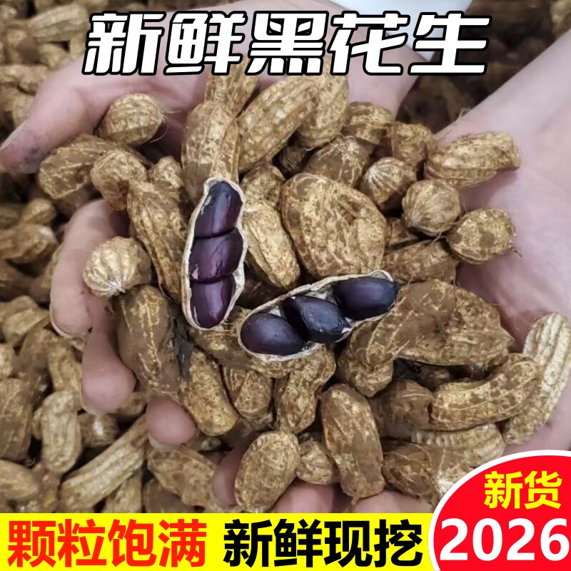 新鲜现挖湿花生黑花生带壳带泥图片