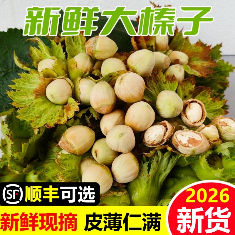东北新鲜榛子现摘水仁绿皮坚果图片