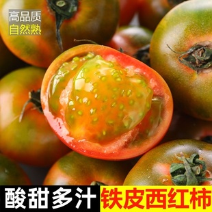 包邮 丹东草莓铁皮柿子西红柿新鲜绿腚番茄自然熟生吃应季 新鲜水果