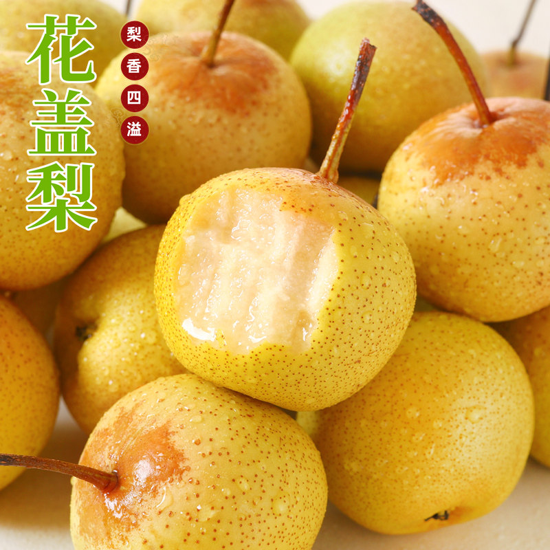 东北正宗花盖梨新鲜东北特产软梨孕妇水果秋子梨新鲜包邮5斤