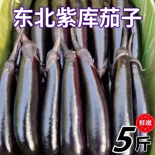 【现摘现发】东北茄子新鲜紫茄子