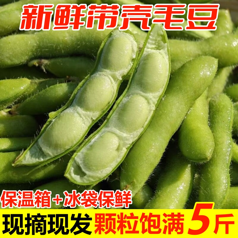 【露天】毛豆新鲜带壳现摘现发图片