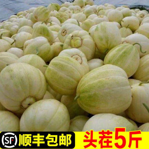 顺丰/速发|东北香瓜甜瓜新鲜水果