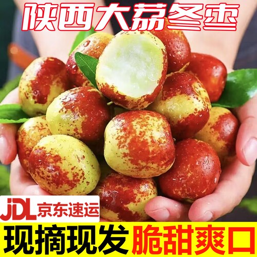 京东速发|正宗大荔冬枣新鲜水果