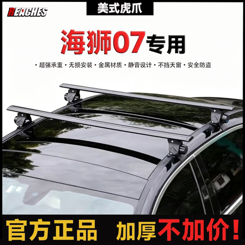 比亚迪海狮 07EV 海豹 海鸥 海豚专用横杆铝合金车顶行李架免打孔