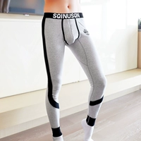 Нет бархатного серого [1875]