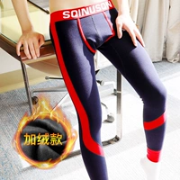 Plel of Velvet Deep Blue 【2101】