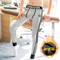 Plel of Velvet-Light Grey [2102]