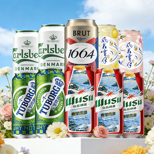 【特价试饮】嘉士伯全家福500ml*10罐1664法蓝 非原箱  自留必选