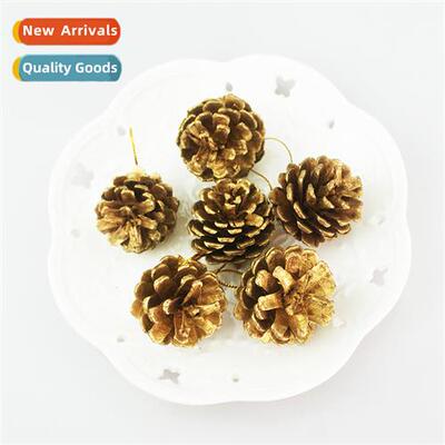 Golden Pine Ces 3-5cm Golden Glossy Lacquered Norast Pine Ce