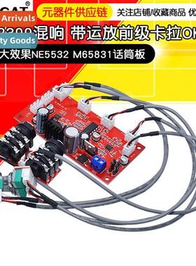 PT2399 Reverb Board Karaoke Board AD828 Preamp Board M65831