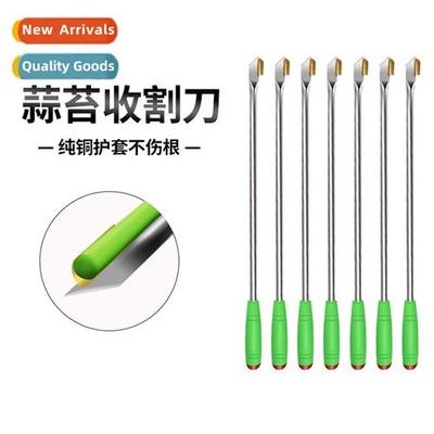 Digging wild vegetables magic weap digging garlic small shov