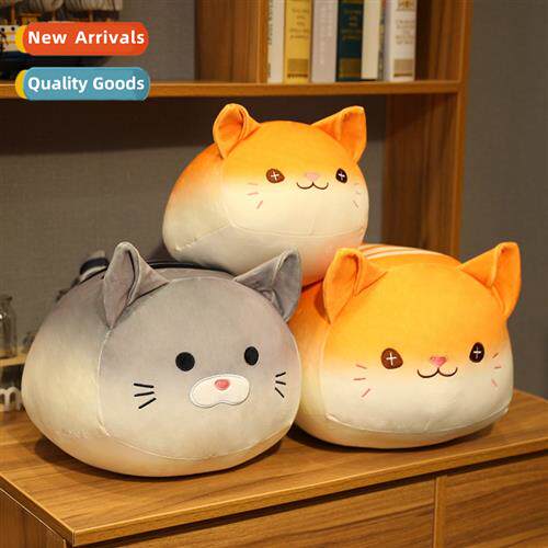 Cute Japanese toast bread cat dough cat orange cat fat cat p