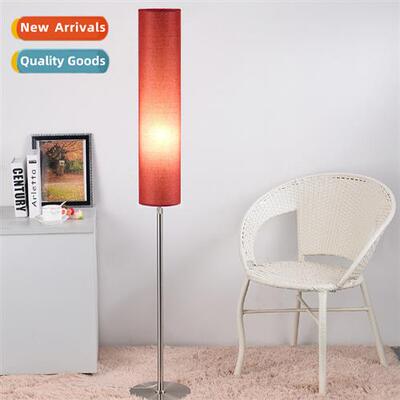 Modern simple floor lamp living room bedroom Scinavian remot