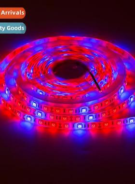 12V LED Waterpro 5050 Plant Grow Light Strip Light Strip Rem