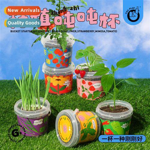 Kodak duck planting ts  ts  cups mini planting children diy