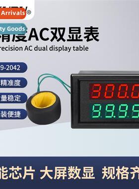 High-precisi AC digal LED dual display meter 220V380V100A RM