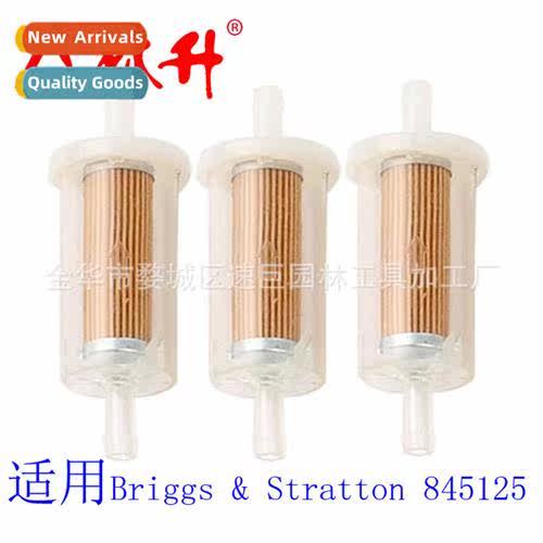 695666 Filter Briggs & Stratt 845125 691035 5065 493629