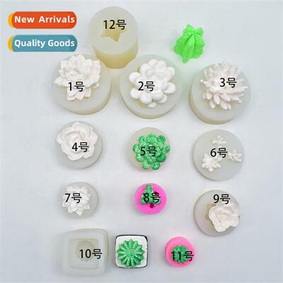 Three-dimensial diy baking utensils succulent silice mould c