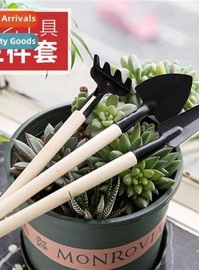 Potting small shovel planting flowers to raise flowers shove