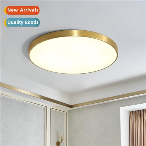 Ceiling light copper color led Scinavian living room bedroom