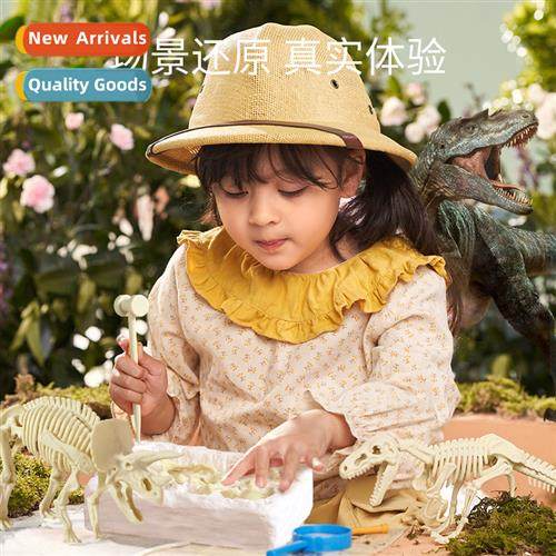 Dinosaur fossil archaeological dig children hmade DIY boys g