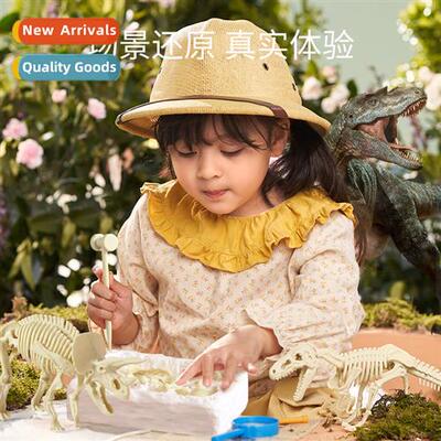 Dinosaur fossil archaeological dig children hmade DIY boys g