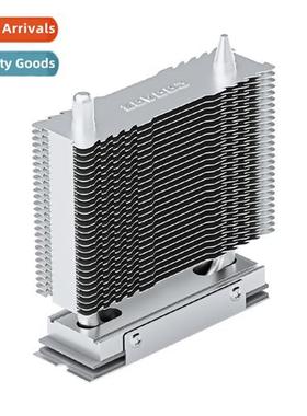 Limin COGAGE SSD H1 M.2 2280 Solid State Single Tower Passiv