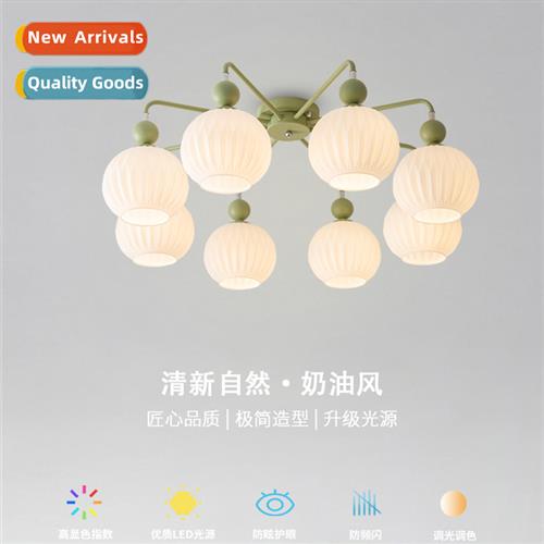 French living room ceiling light creative cozy room light ne