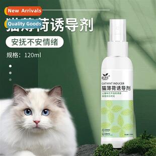 Dawleys Pet Catnip Inducer 120m Ease Your Cats Mood -Heeling