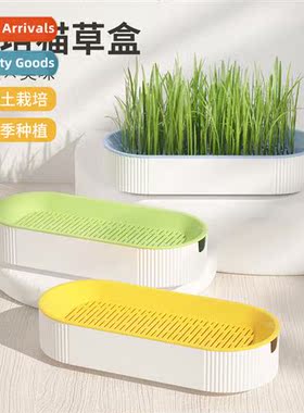 Cat cat snacks catnip planting hydropic box cat grass pots c