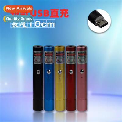 Portable short mini USB rechargeable laser pointer green sin