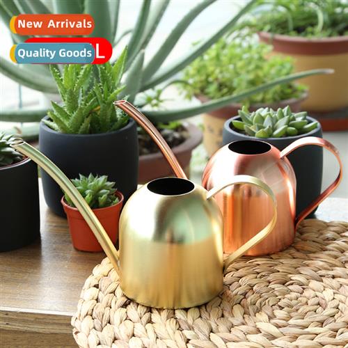 Stainless steel watering can lg spout watering can household