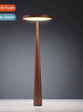 Scinavian minimalist creative LED living room floor lamp sho