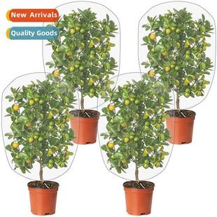 netting cov ctrol woodlice fru bird garden bags pest Plant