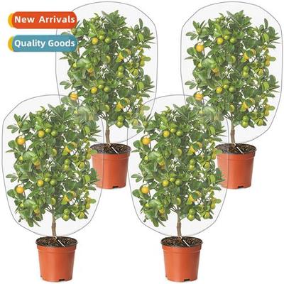 Plant pest ctrol bags garden bird netting fru e woodlice cov