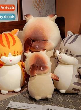 Cute cute sell cute disssed cat plush toy doll girlfriend ca