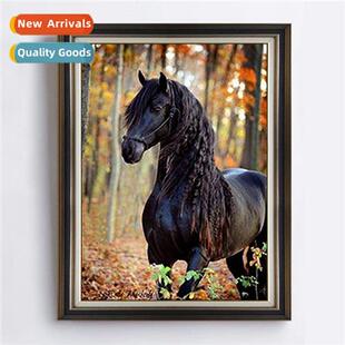 New Scinavian living room hmade diamd decorative painting be