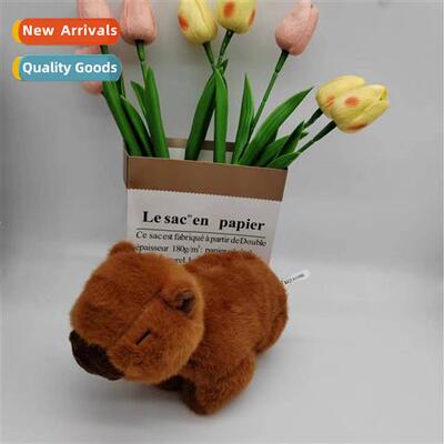 Kapi Bara Slap Circle Water Dolphin Doll Carto Decompressi B