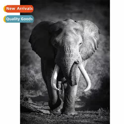 Hmade point drill painting new DIY elephant full  round diam