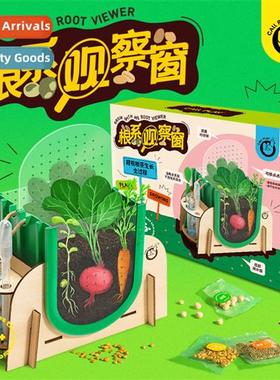 Ketta Duck Roots Observati Window Planting Kids Science Expe