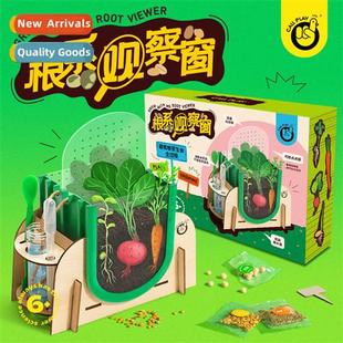Observati Window Planting Ketta Science Roots Kids Expe Duck