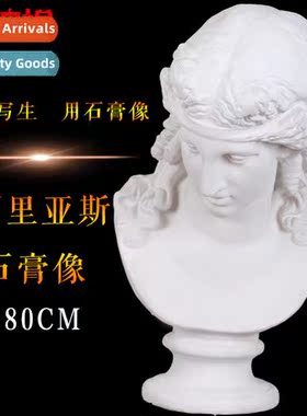 80CM Arias Bust Plaster Figure Plaster Head Art Plaster Teac
