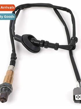 Downsam Oxygen O2 Sensor 4wire 250-24476