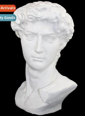 1.2 meters large Davids head plaster teaching aids plaster s