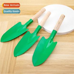 seaside shovel beach digging vegetables wild dollar