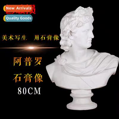 Brt Plaster Figure Plaster Head Apuro Bust Apollo Bust Sketc