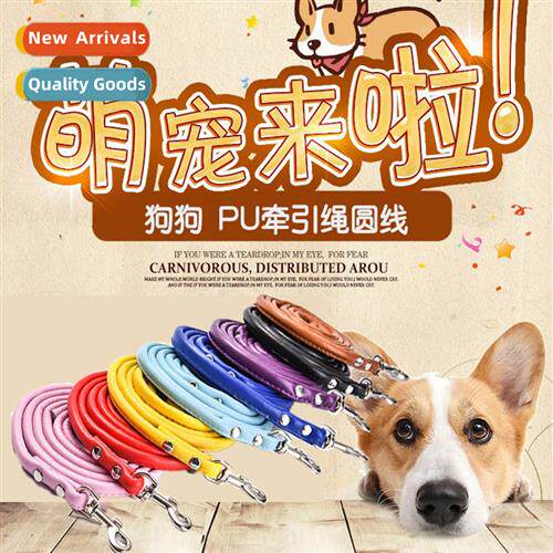PU Lear Pet Leash Walking Dog Leash Dog Leash Round Leash Do
