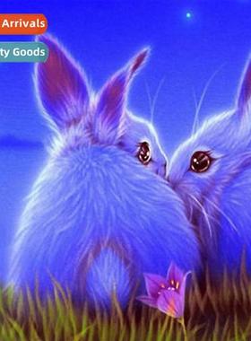 Diamd painting new DIY two rabbs full  round diamd hmade poi